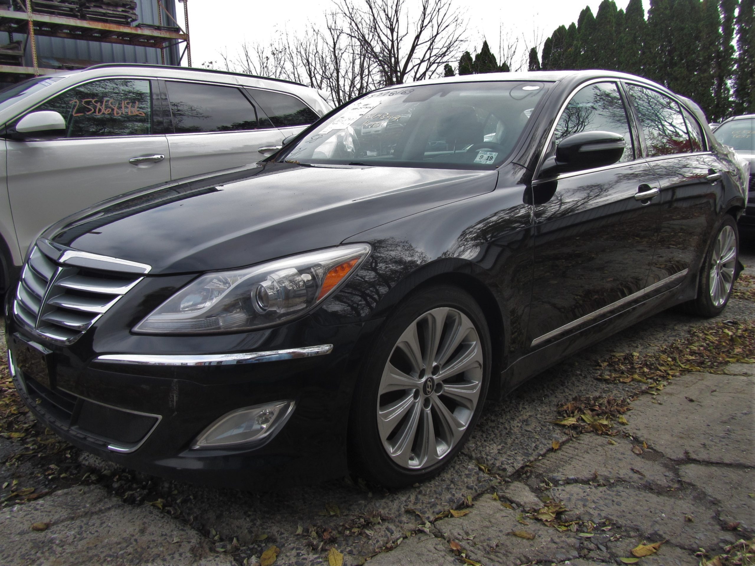 2014 HYUNDAI GENESIS Strut (Suspension) - Right Front - Weber 